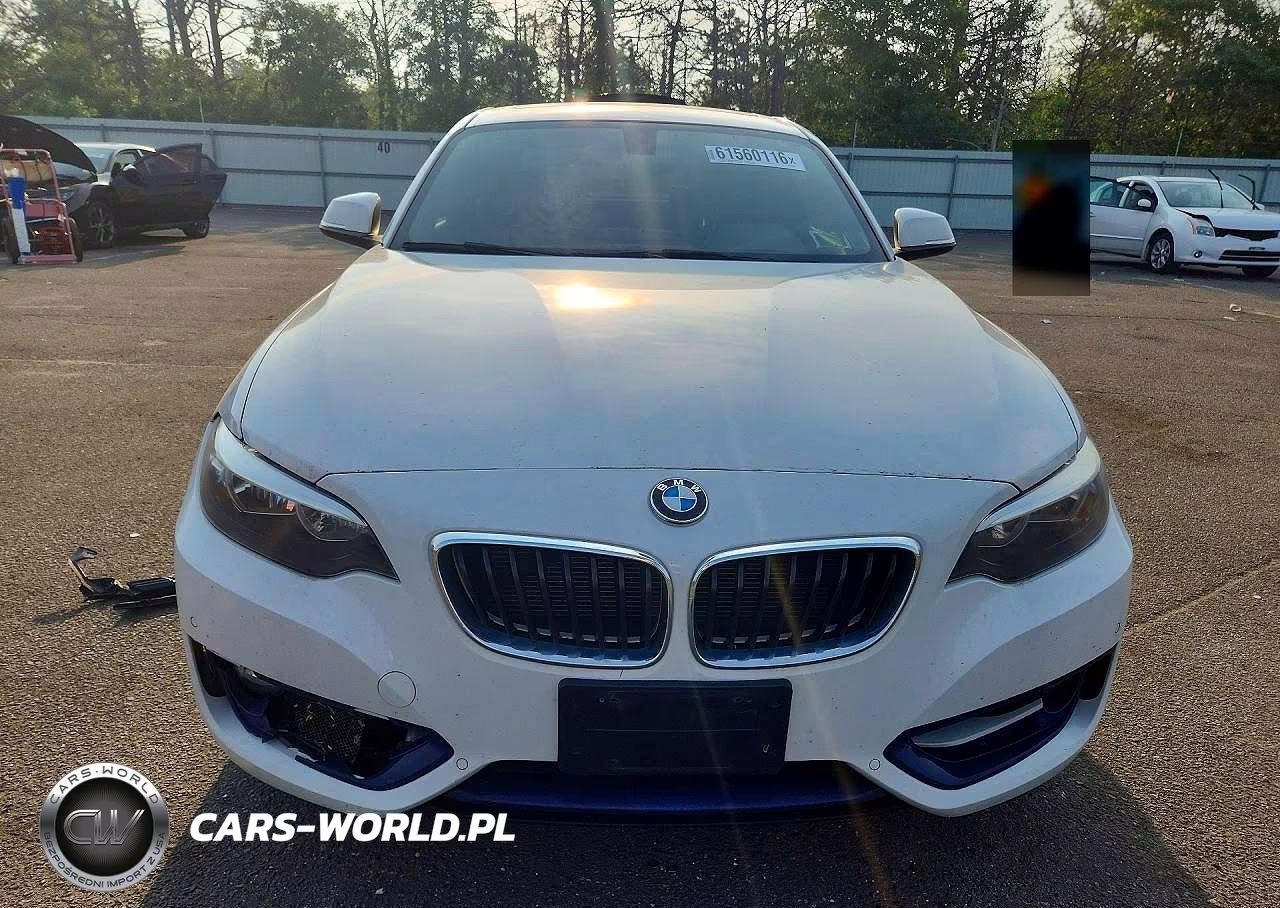 2016 BMW 228 Xi Sulev VIN:WBA1G9C55GV599046 - 5