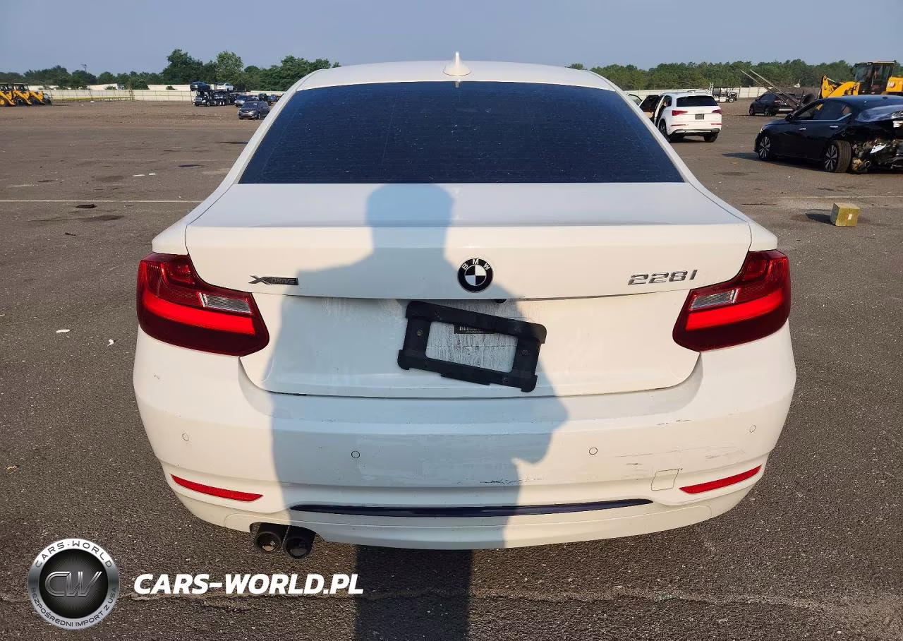 2016 BMW 228 Xi Sulev VIN:WBA1G9C55GV599046 - 6