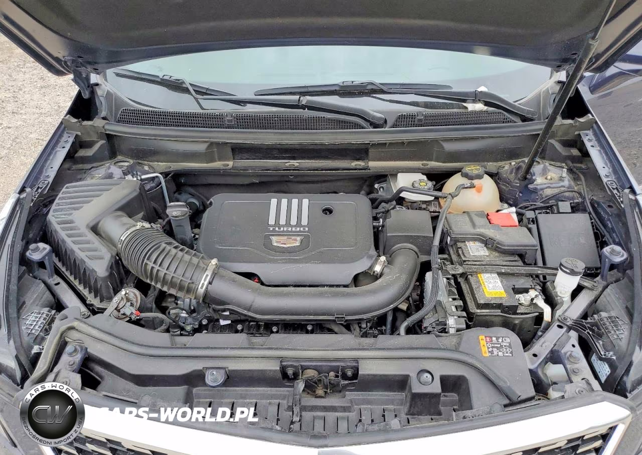 2025 Cadillac Xt5 Luxury VIN:1GYKNAR41SZ136877 - 11