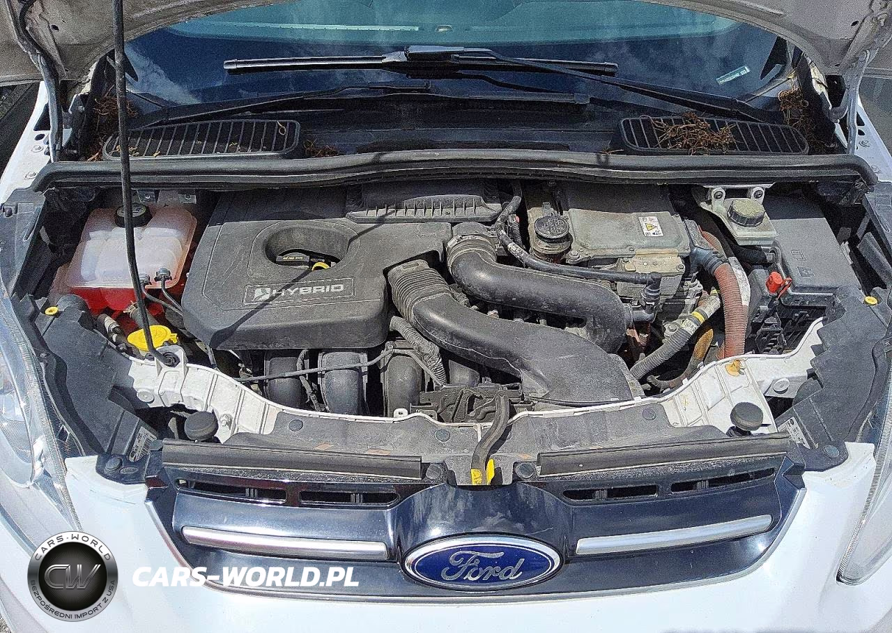 2013 Ford C-Max Se VIN:1FADP5AU7DL524462 - 11