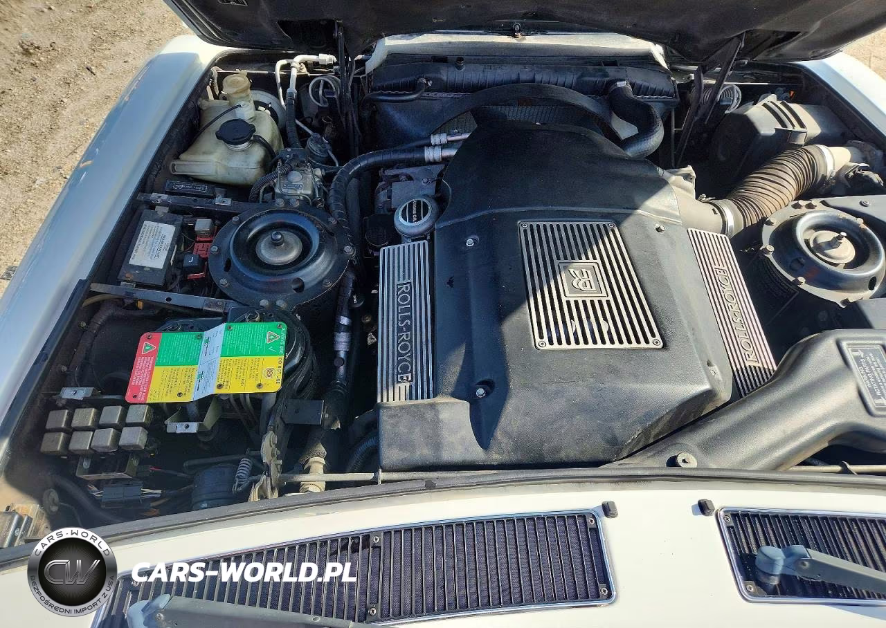 1995 Rolls-Royce Silver Dawn VIN:SCAZA02C2SCX55350 - 11