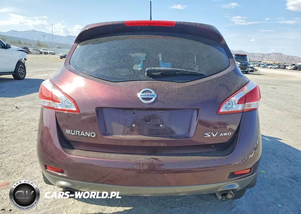2013 Nissan Murano S VIN:JN8AZ1MW6DW302656 - 6