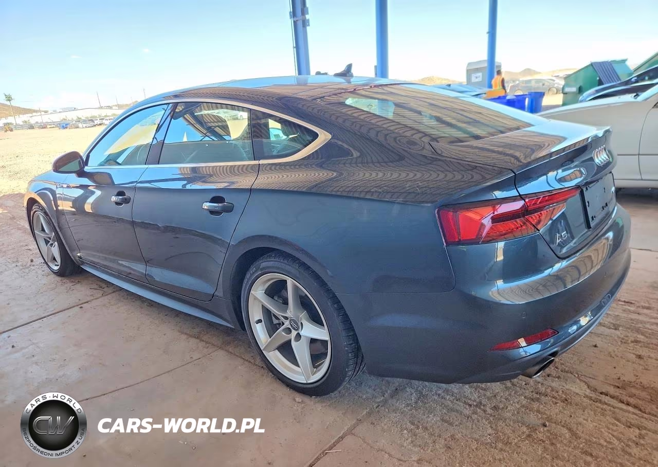 2019 Audi A5 Premium Plus S-Line VIN:WAUENCF59KA024173 - 2