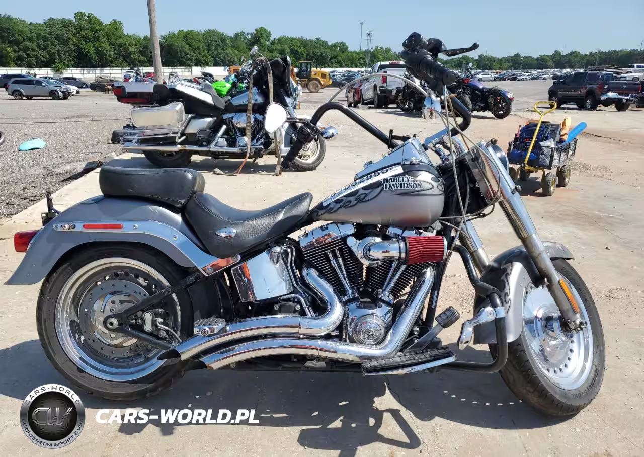 2010 Harley-Davidson Flstf