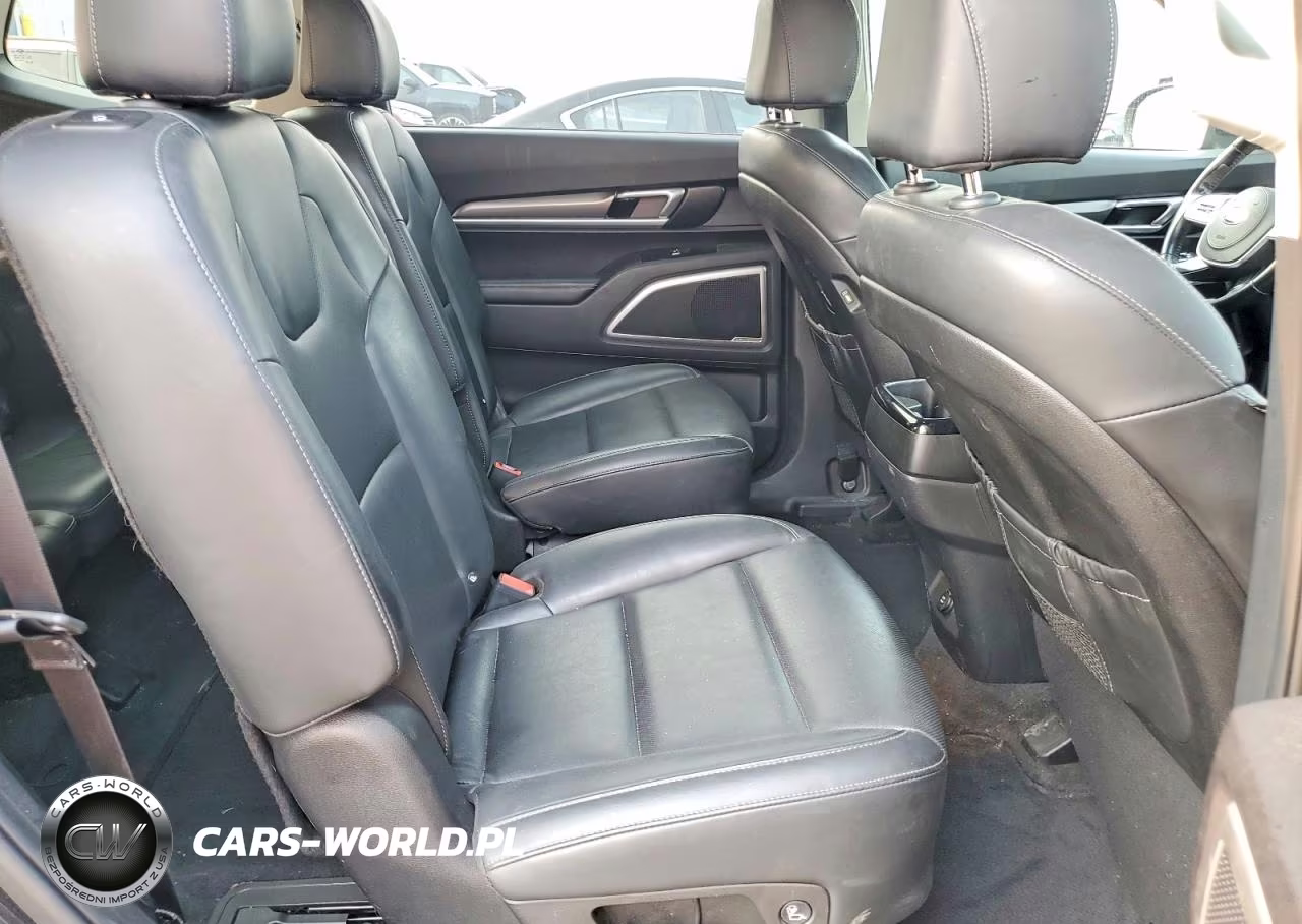 2021 Kia Telluride S VIN:5XYP6DHC1MG175134 - 10