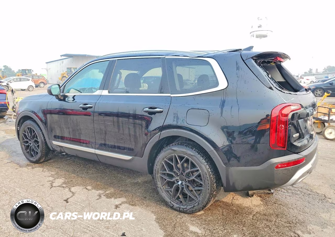 2021 Kia Telluride S VIN:5XYP6DHC1MG175134 - 2