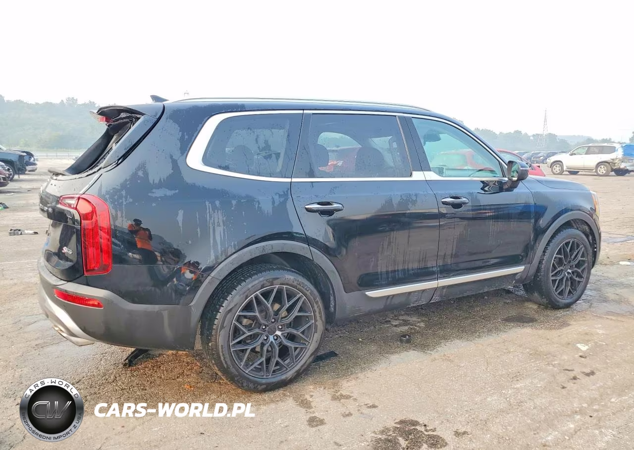 2021 Kia Telluride S VIN:5XYP6DHC1MG175134 - 3