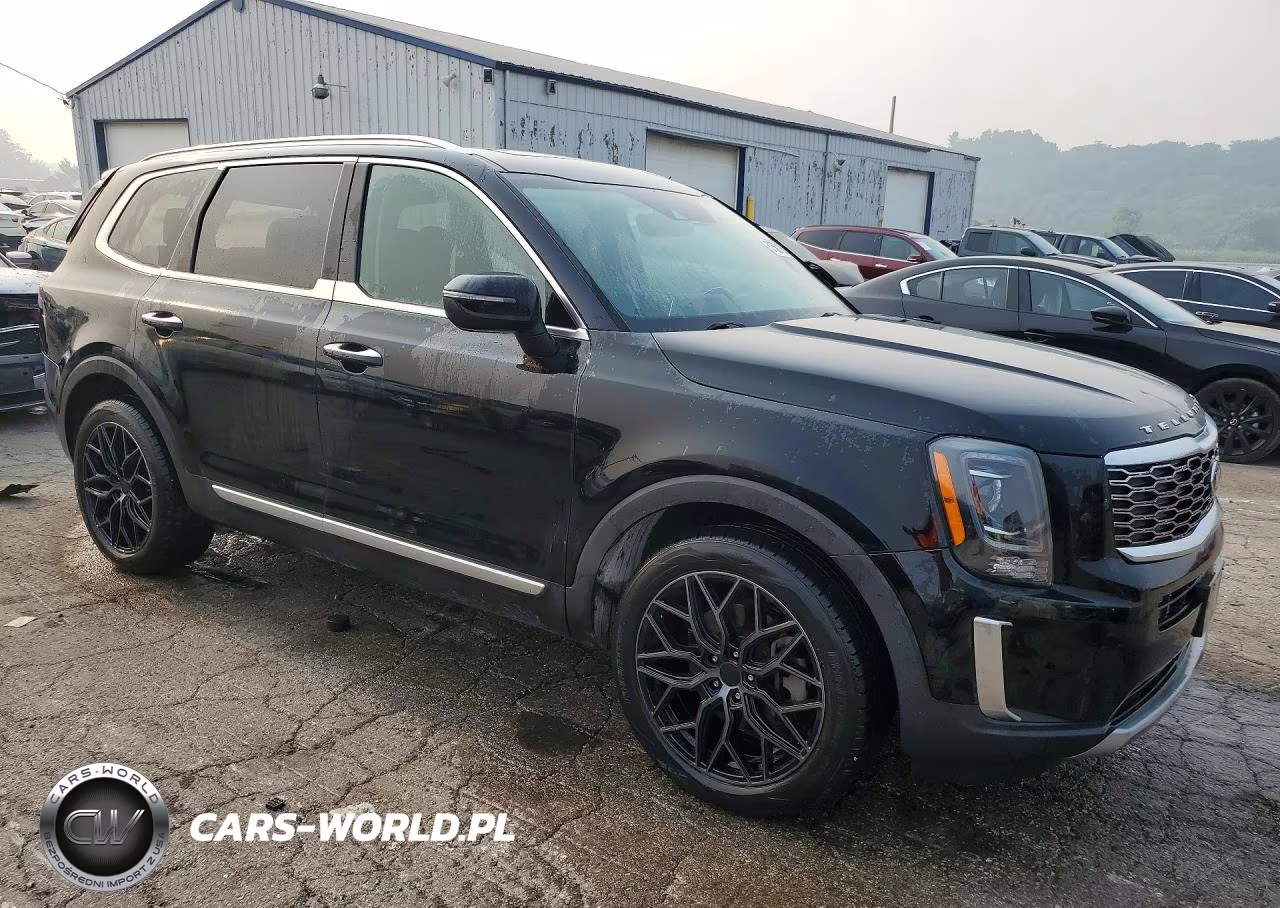 2021 Kia Telluride S VIN:5XYP6DHC1MG175134 - 4