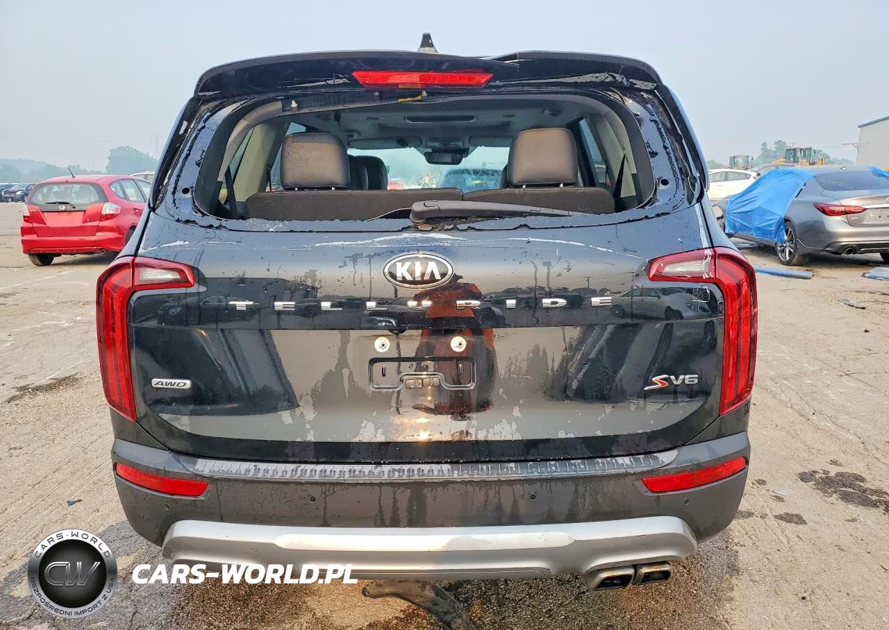 2021 Kia Telluride S VIN:5XYP6DHC1MG175134 - 6