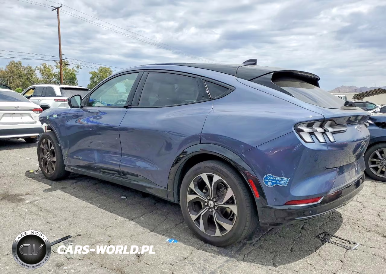 2021 Ford Mustang Mach-E Premium VIN:3FMTK3RM2MMA08467 - 2