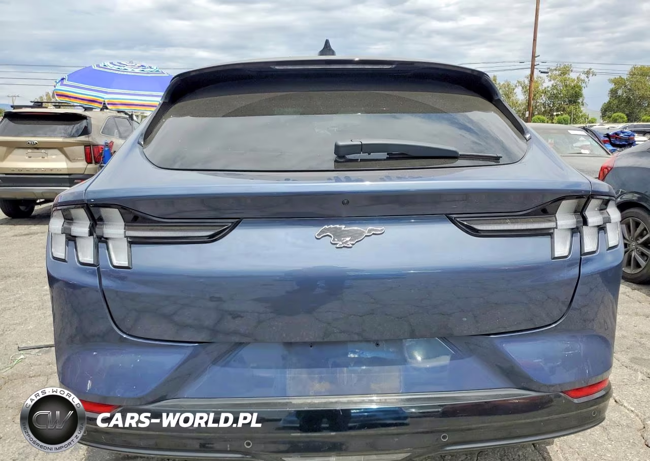 2021 Ford Mustang Mach-E Premium VIN:3FMTK3RM2MMA08467 - 6