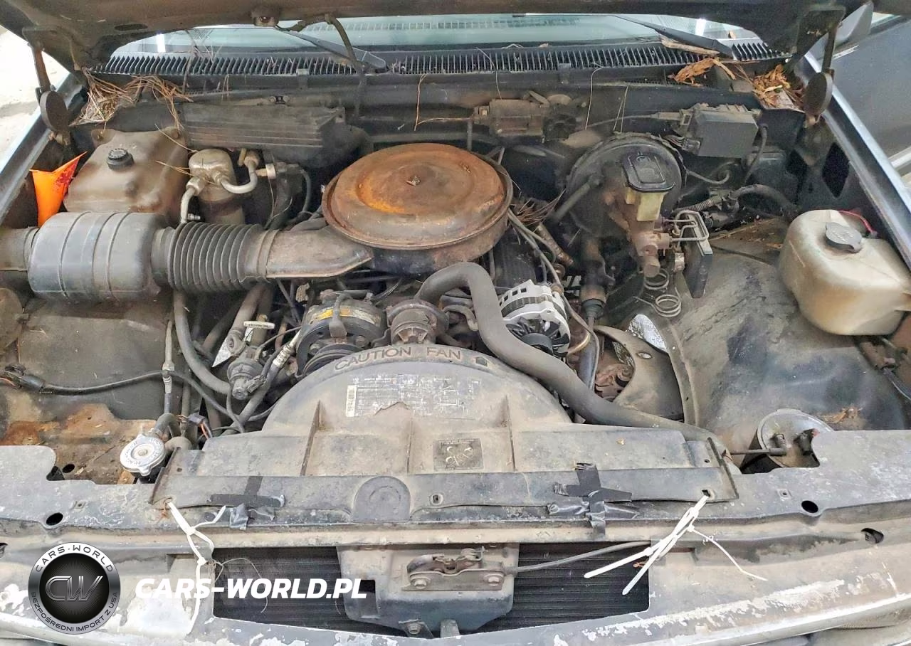 1988 Chey Other VIN:1GCDC14K5JZ191079 - 11