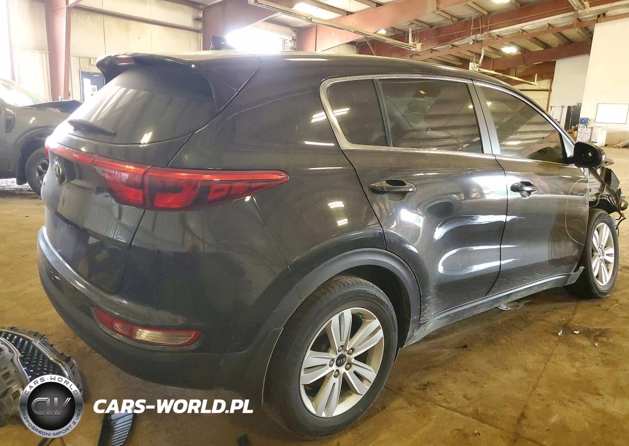 2019 Kia Sportage Lx VIN:KNDPM3AC7K7619833 - 3