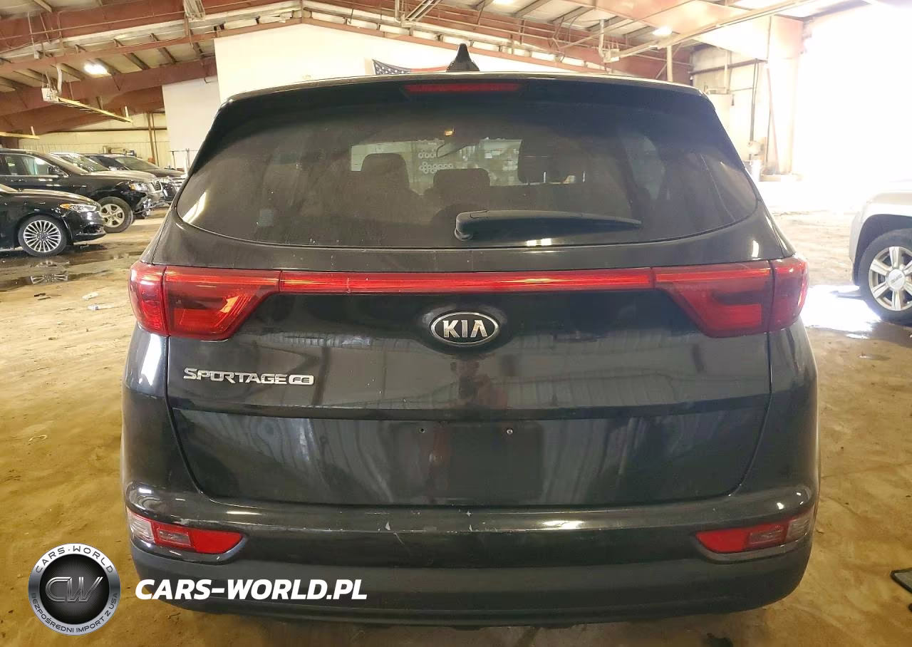 2019 Kia Sportage Lx VIN:KNDPM3AC7K7619833 - 6