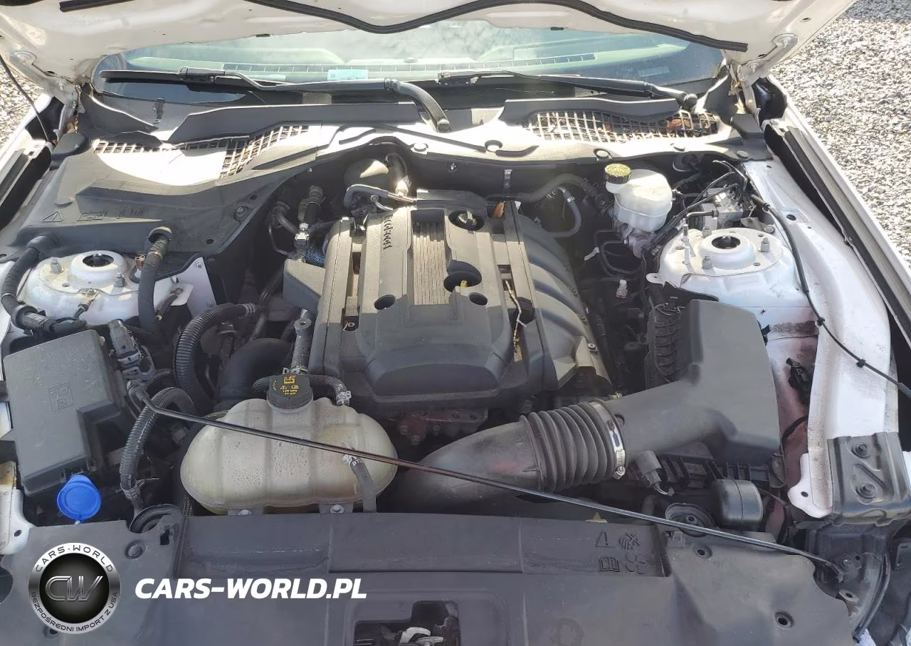 2020 Ford Mustang VIN:1FA6P8TH0L5126698 - 11