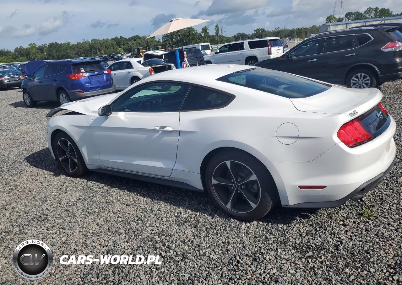 2020 Ford Mustang VIN:1FA6P8TH0L5126698 - 2