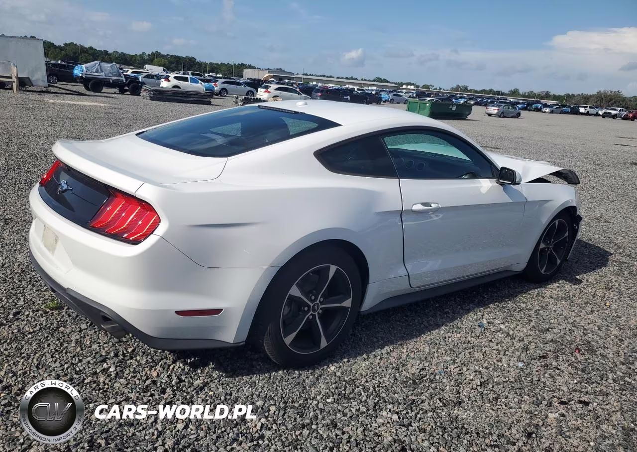 2020 Ford Mustang VIN:1FA6P8TH0L5126698 - 3
