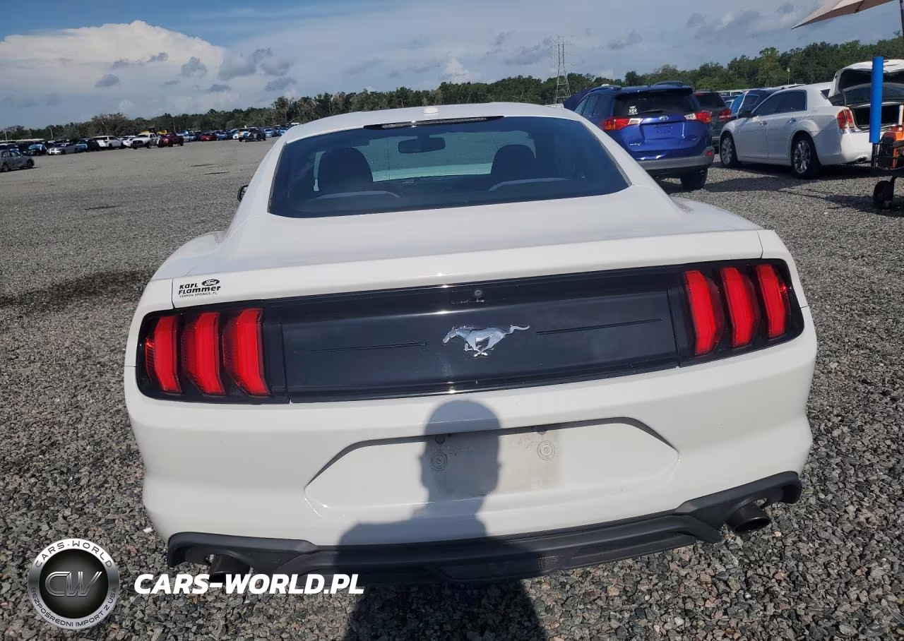 2020 Ford Mustang VIN:1FA6P8TH0L5126698 - 6