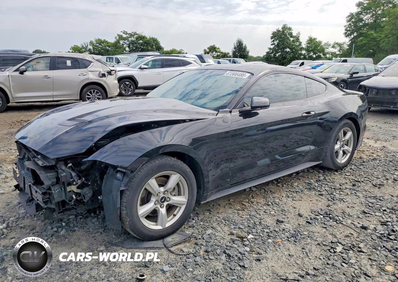 2019 Ford Mustang VIN:1FA6P8THXK5200675 - 1