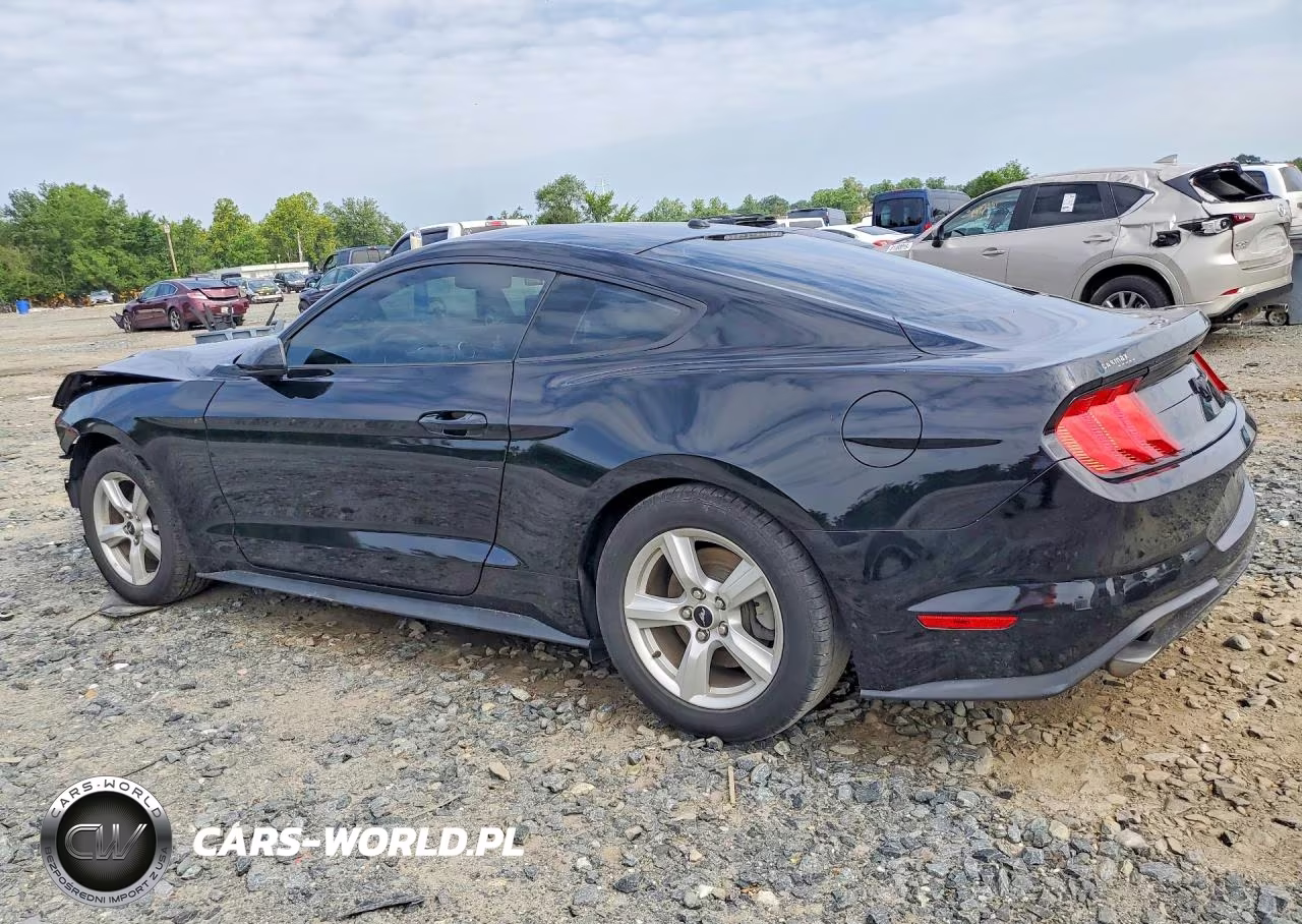 2019 Ford Mustang VIN:1FA6P8THXK5200675 - 2