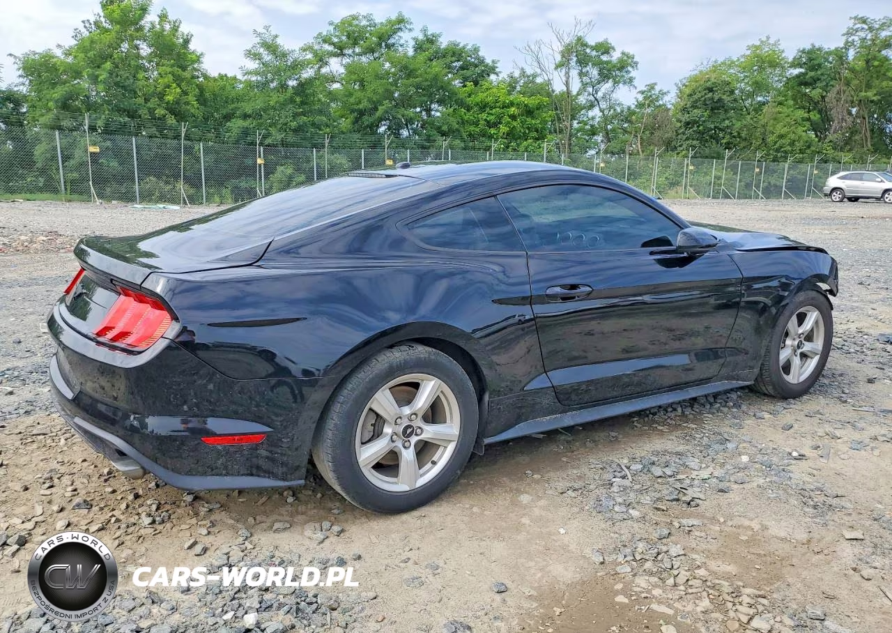 2019 Ford Mustang VIN:1FA6P8THXK5200675 - 3