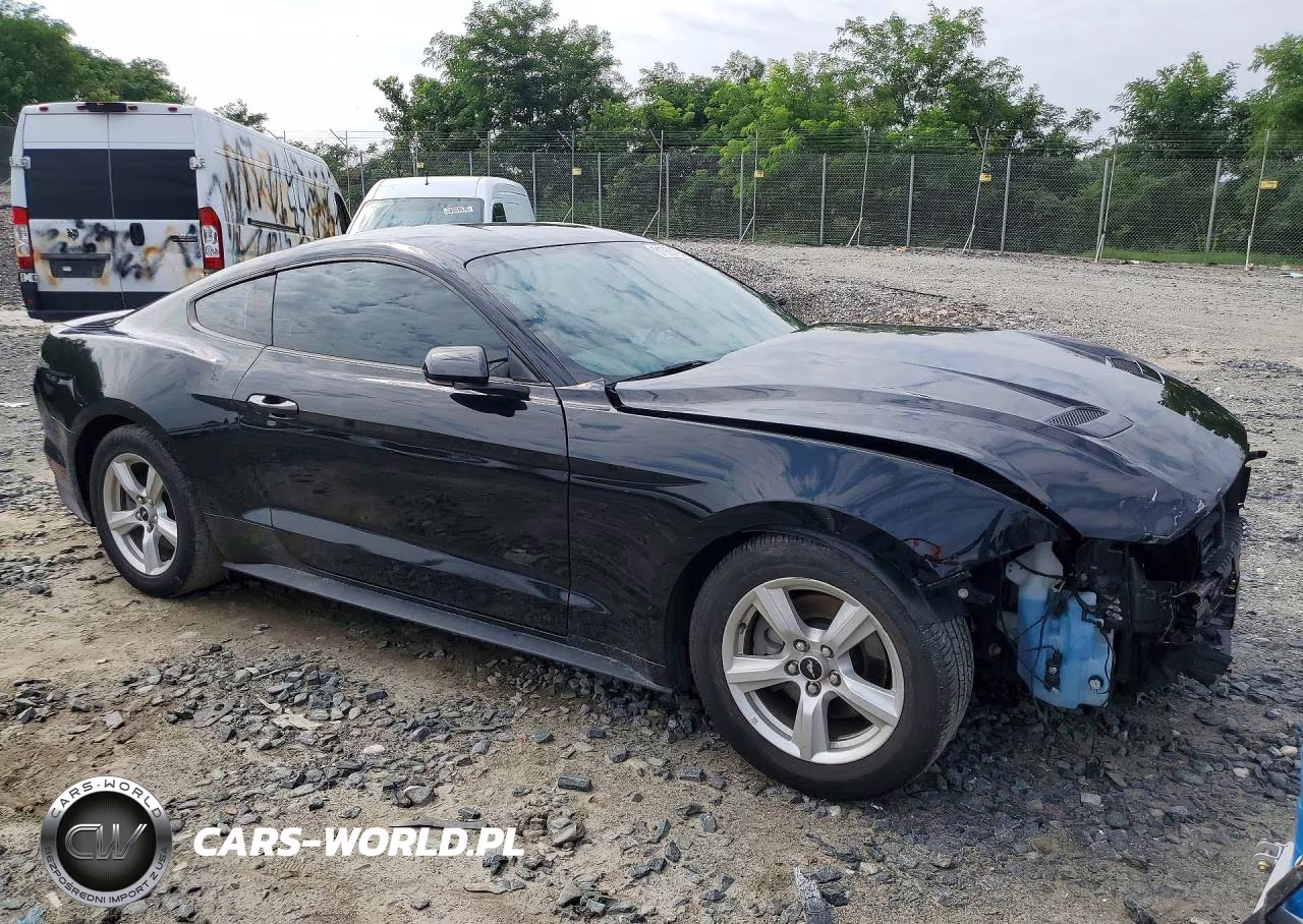 2019 Ford Mustang VIN:1FA6P8THXK5200675 - 4