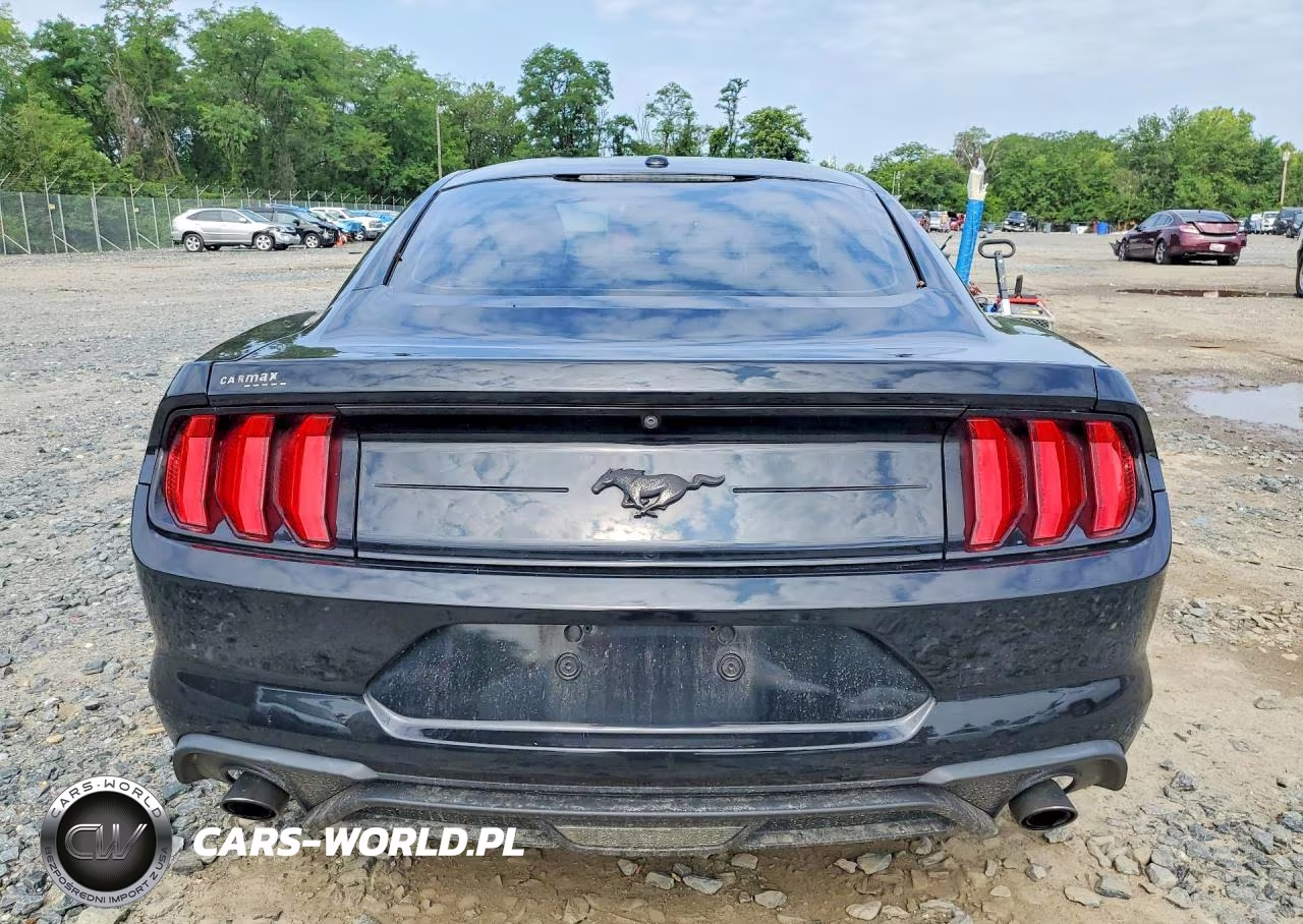 2019 Ford Mustang VIN:1FA6P8THXK5200675 - 6