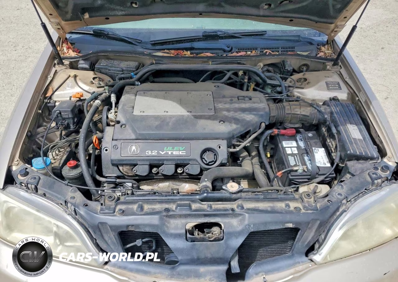 2000 Acura 3.2Tl VIN:19UUA566XYA046837 - 11
