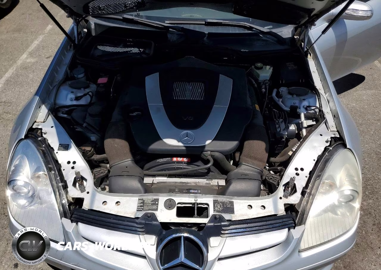 2005 Mercedes-Benz Slk 350 VIN:WDBWK56F15F061177 - 11