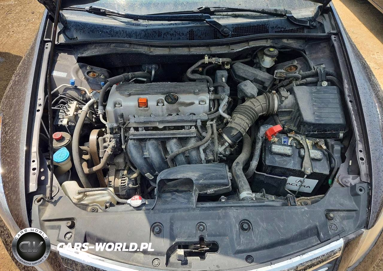 2011 Honda Accord Lxp VIN:1HGCP2F48BA048603 - 11