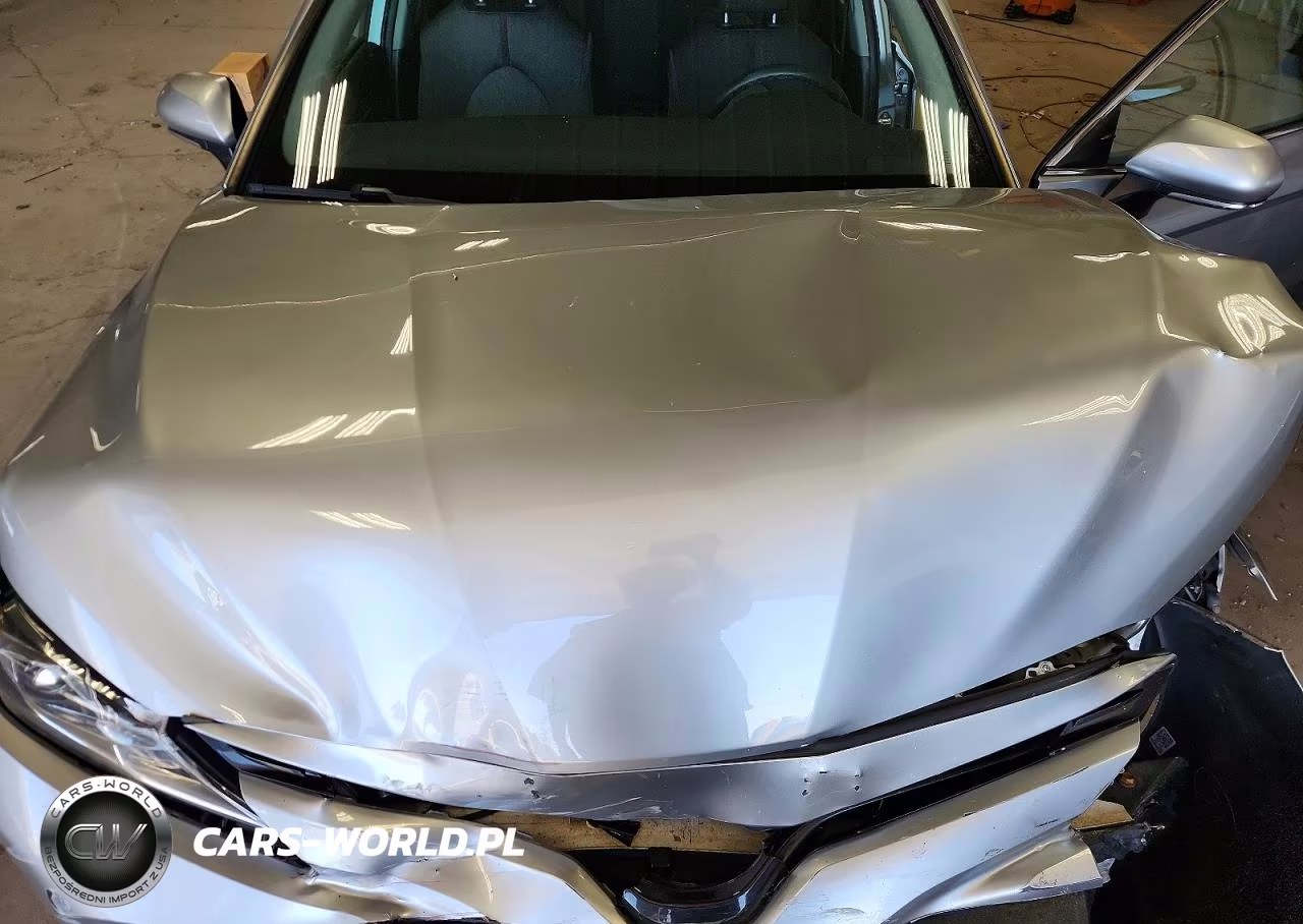 2019 Toyota Camry Le VIN:4T1B31HK7KU511689 - 11