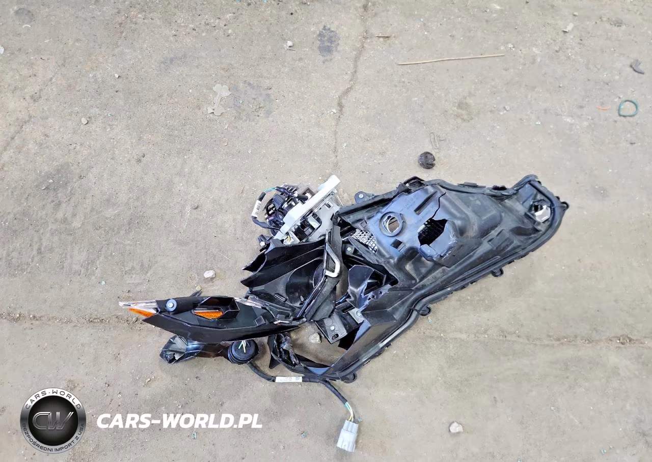 2019 Toyota Camry Le VIN:4T1B31HK7KU511689 - 12