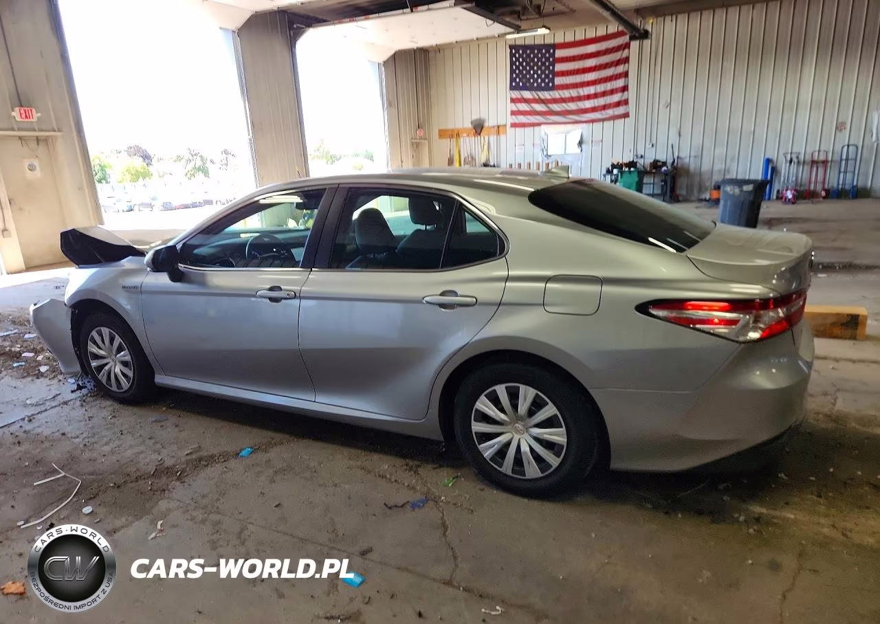 2019 Toyota Camry Le VIN:4T1B31HK7KU511689 - 2