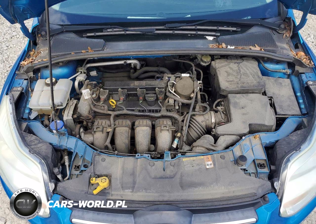 2014 Ford Focus Se VIN:1FADP3F21EL188241 - 11
