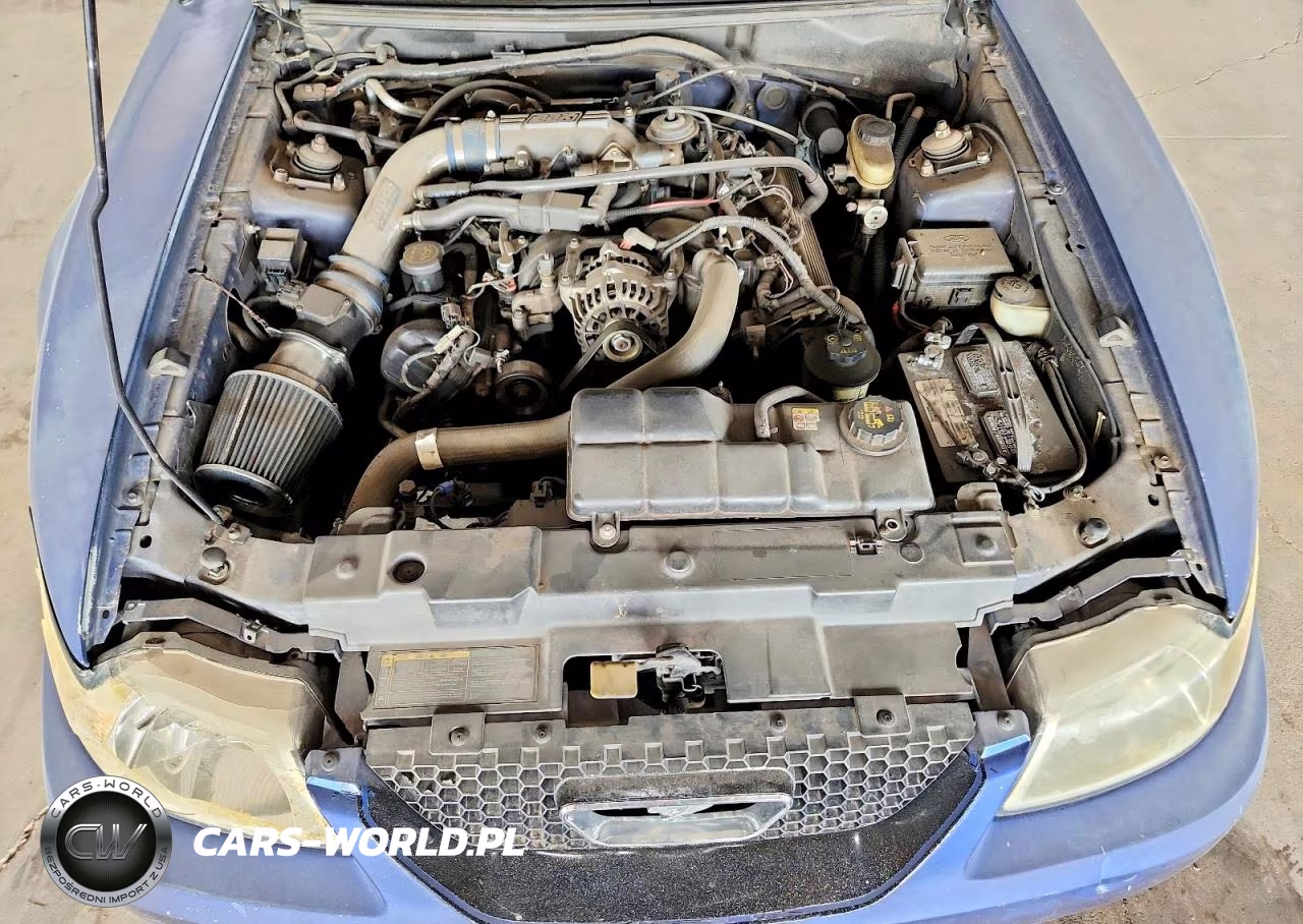 2003 Ford Mustang Gt VIN:1FAFP45X33F412732 - 11
