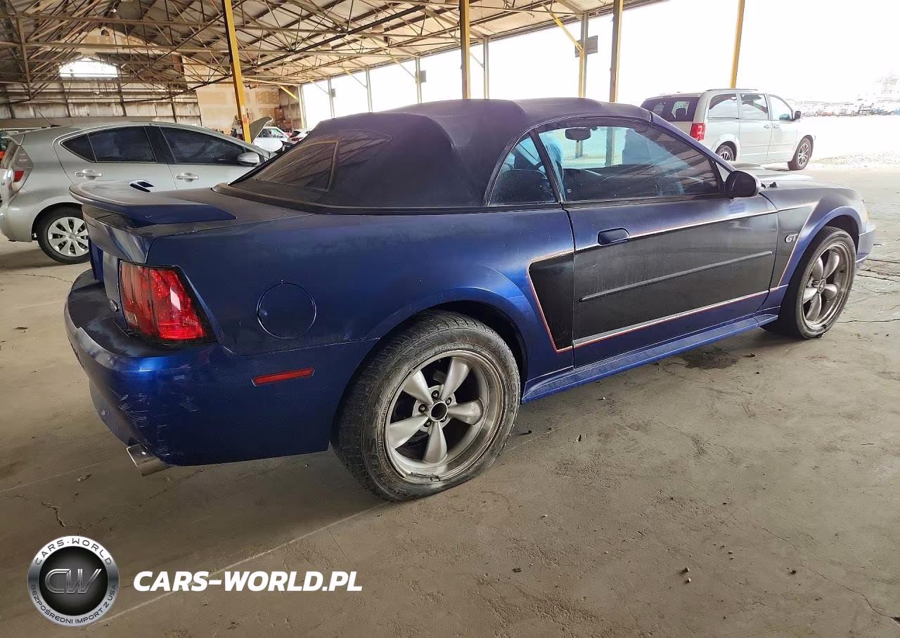 2003 Ford Mustang Gt VIN:1FAFP45X33F412732 - 3