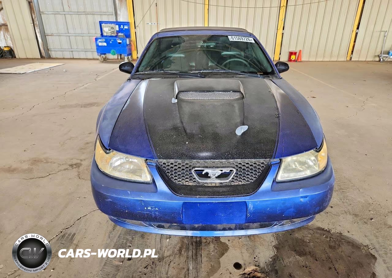 2003 Ford Mustang Gt VIN:1FAFP45X33F412732 - 5