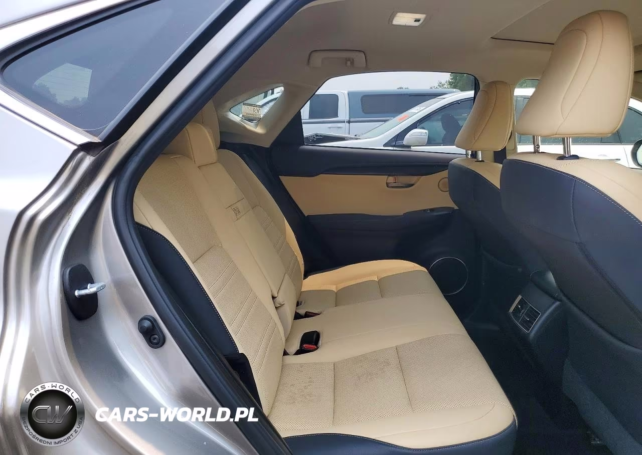 2020 Lexus Nx 300 VIN:JTJGARDZ0L2223816 - 10