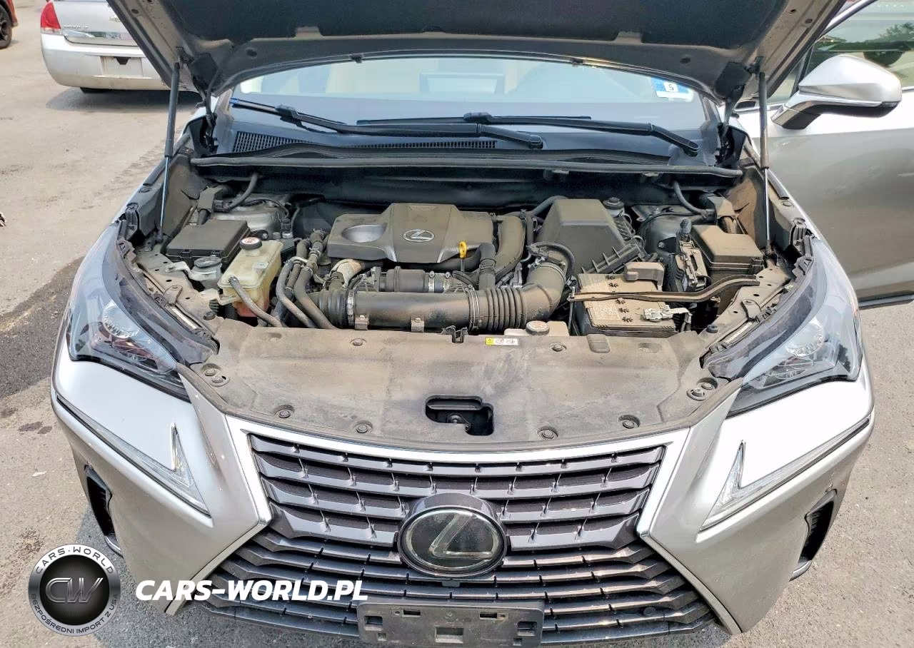 2020 Lexus Nx 300 VIN:JTJGARDZ0L2223816 - 11