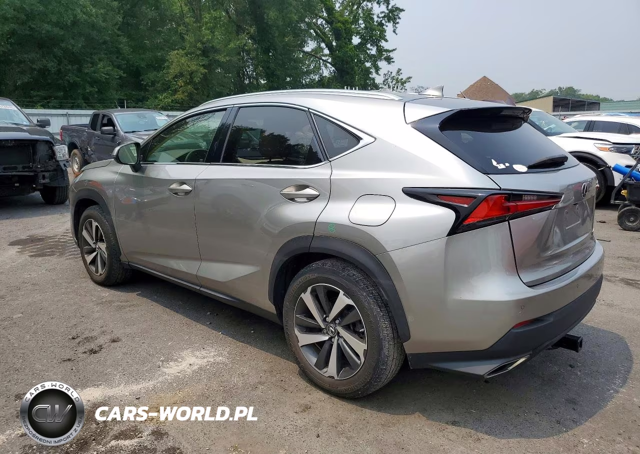 2020 Lexus Nx 300 VIN:JTJGARDZ0L2223816 - 2