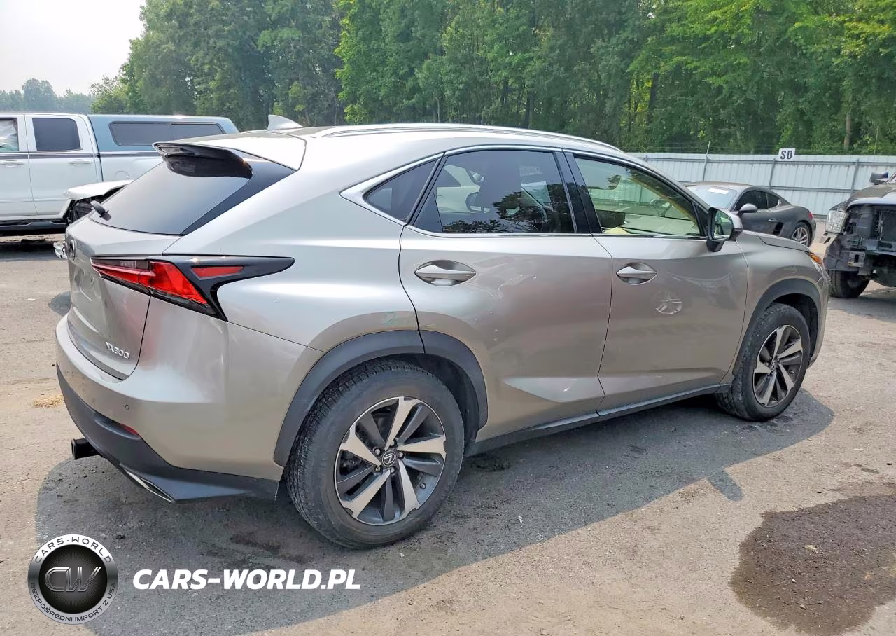 2020 Lexus Nx 300 VIN:JTJGARDZ0L2223816 - 3