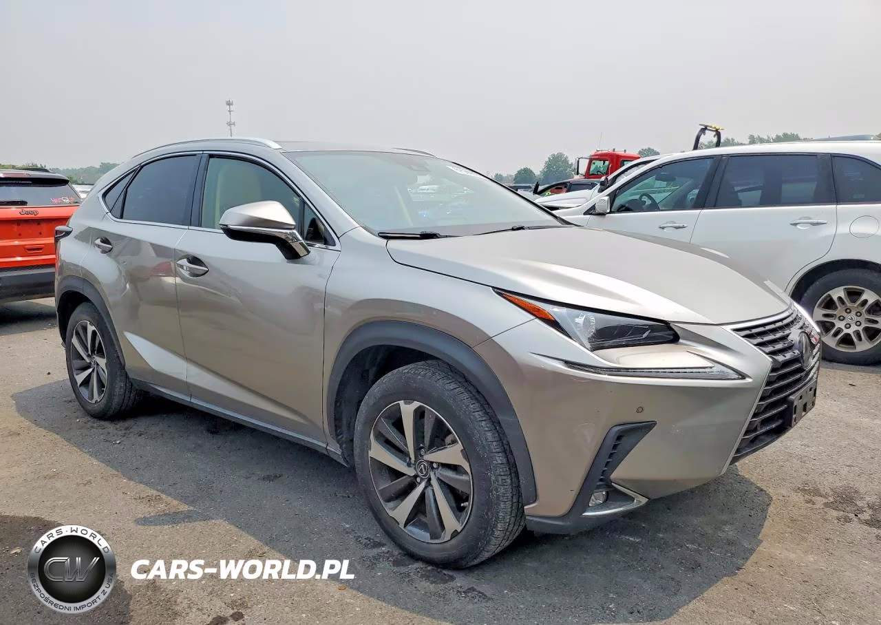 2020 Lexus Nx 300 VIN:JTJGARDZ0L2223816 - 4