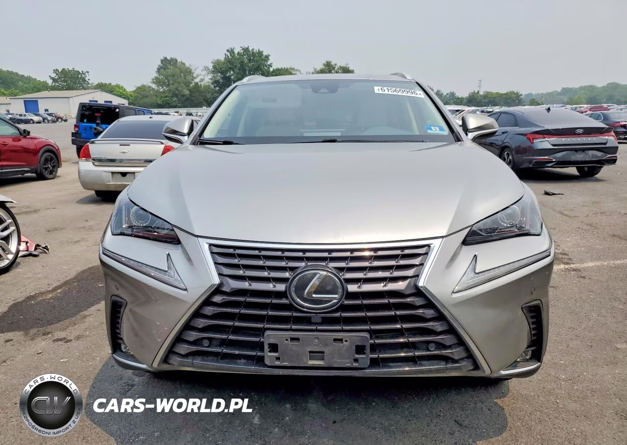 2020 Lexus Nx 300 VIN:JTJGARDZ0L2223816 - 5