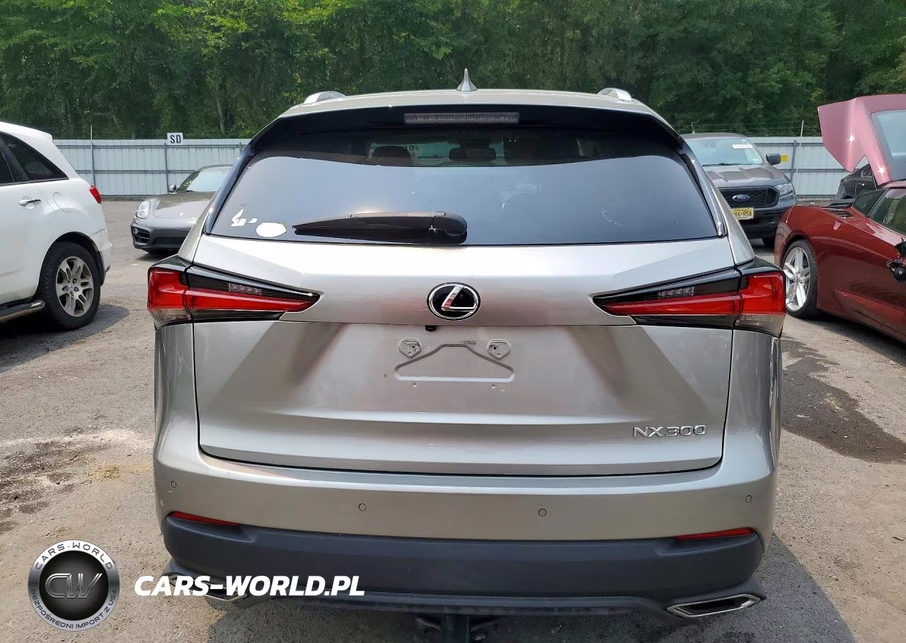 2020 Lexus Nx 300 VIN:JTJGARDZ0L2223816 - 6