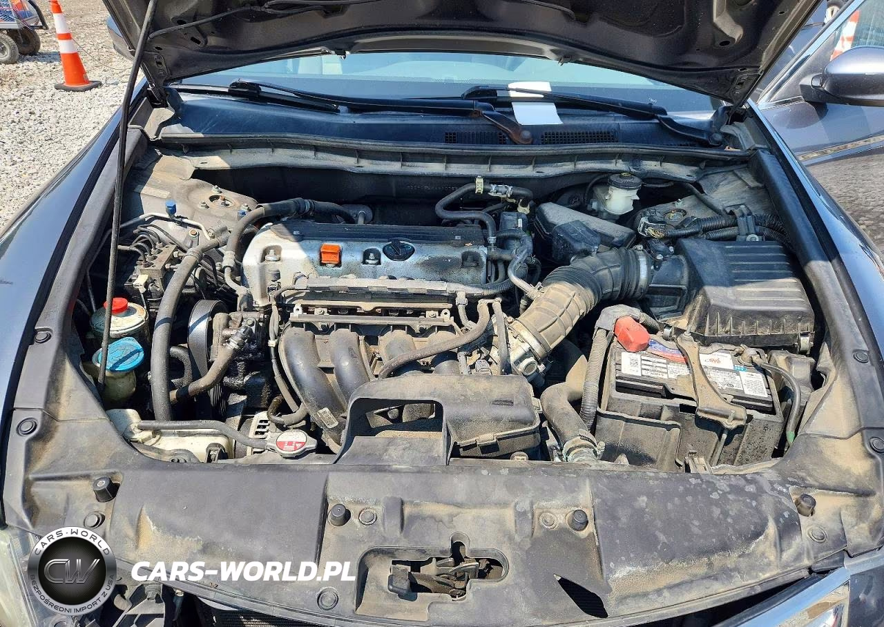 2010 Honda Accord Lxp VIN:1HGCP2F4XAA107567 - 11