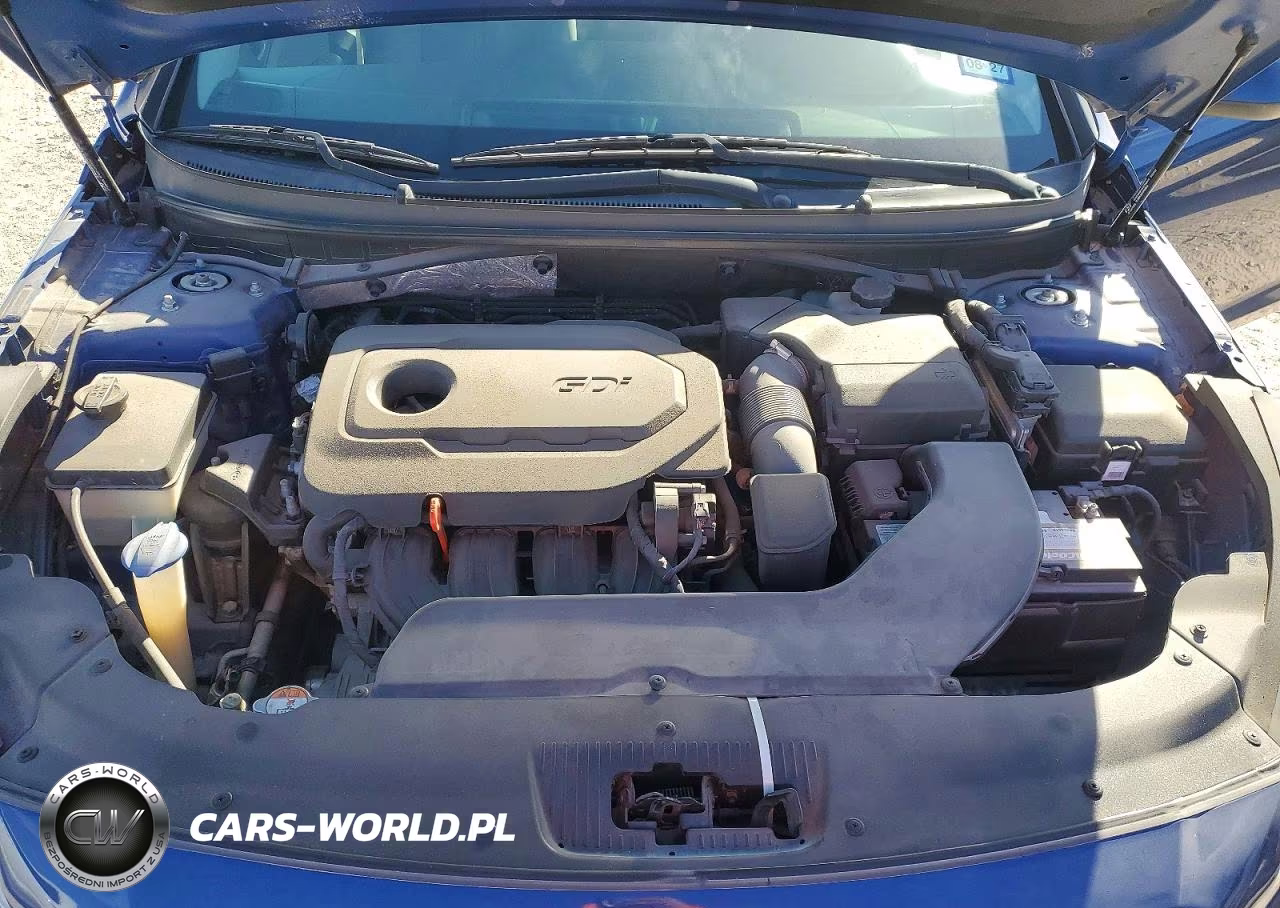 2015 Hyundai Sonata Se VIN:5NPE24AF5FH193610 - 11