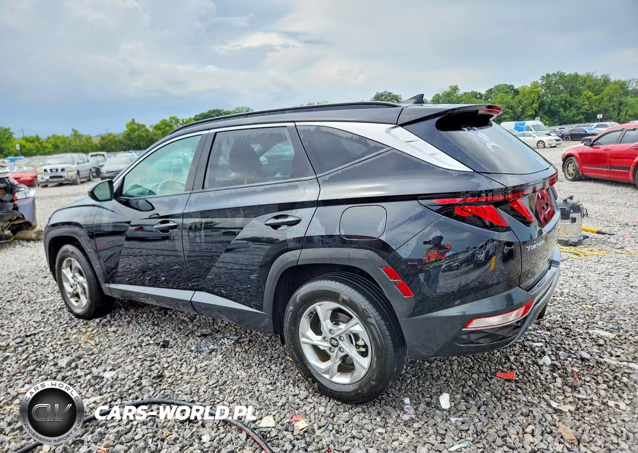 2024 Hyundai Tucson Sel VIN:5NMJBCDE6RH386927 - 2