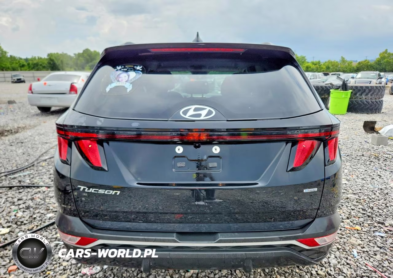 2024 Hyundai Tucson Sel VIN:5NMJBCDE6RH386927 - 6