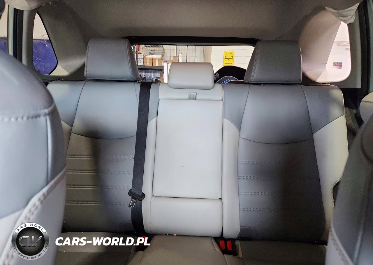 2019 Toyota Rav4 Xle Premium VIN:2T3A1RFV1KW047352 - 10