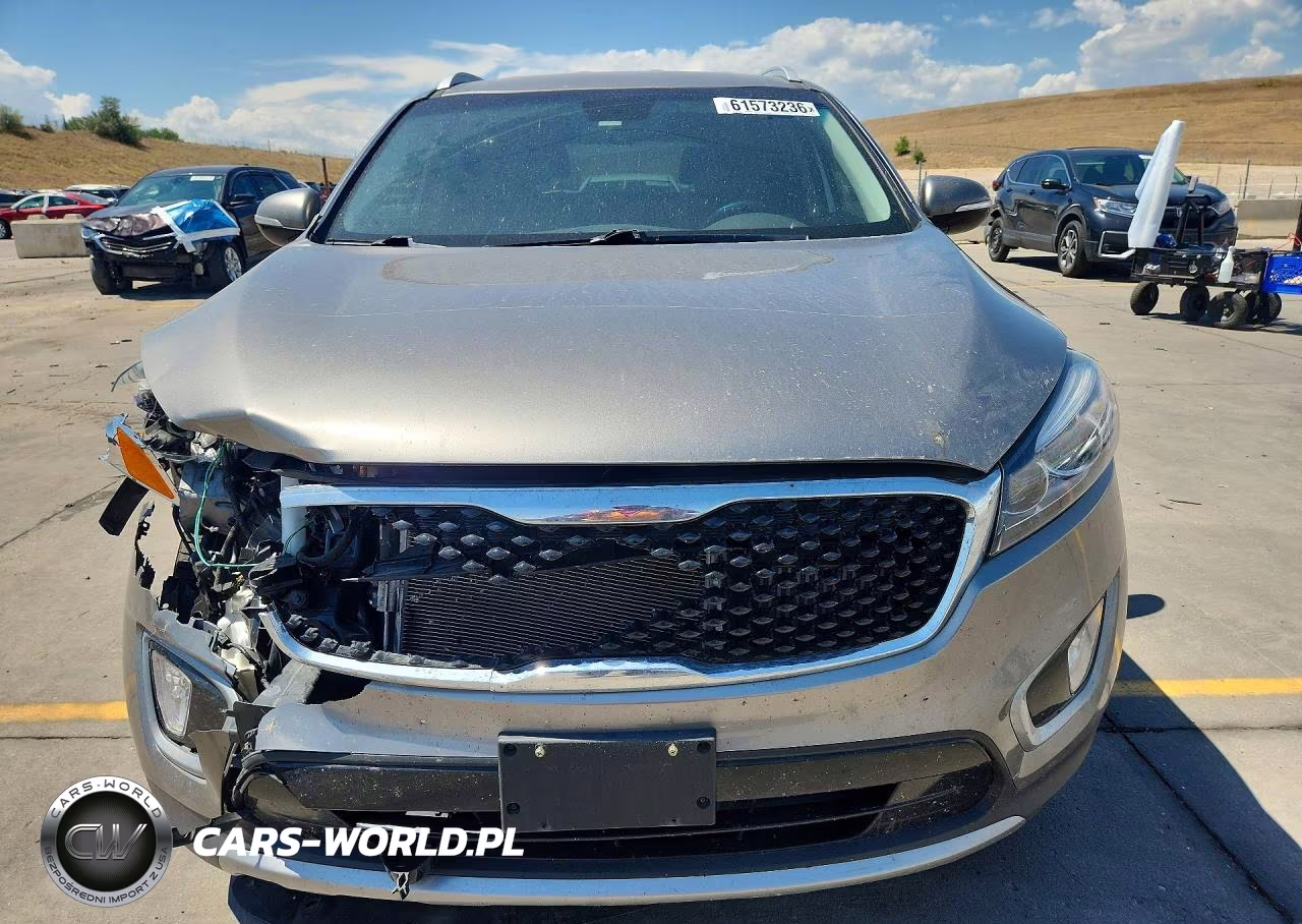 2017 Kia Sorento Ex VIN:5XYPHDA19HG244063 - 5